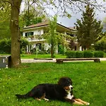 Bed & Breakfast La Libellula 3*