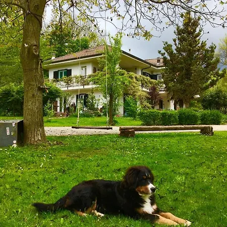 Panzió La Libellula 3*