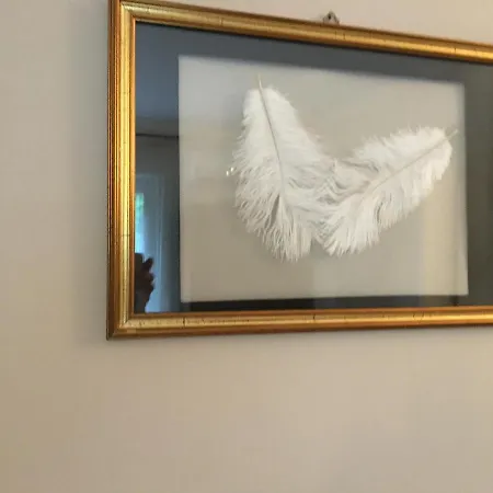 La Libellula 3* Castelnuovo Nigra